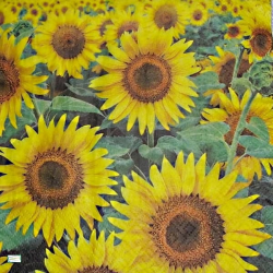 1 serviette Les Tournesols -53