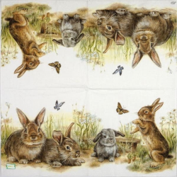 20 serviettes Les Lapins-L55