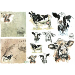 1papier riz Les vaches -R1561