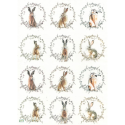 1papier riz Les lapins -R2016