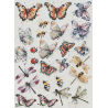 1 papier de riz Les insectes - R2258