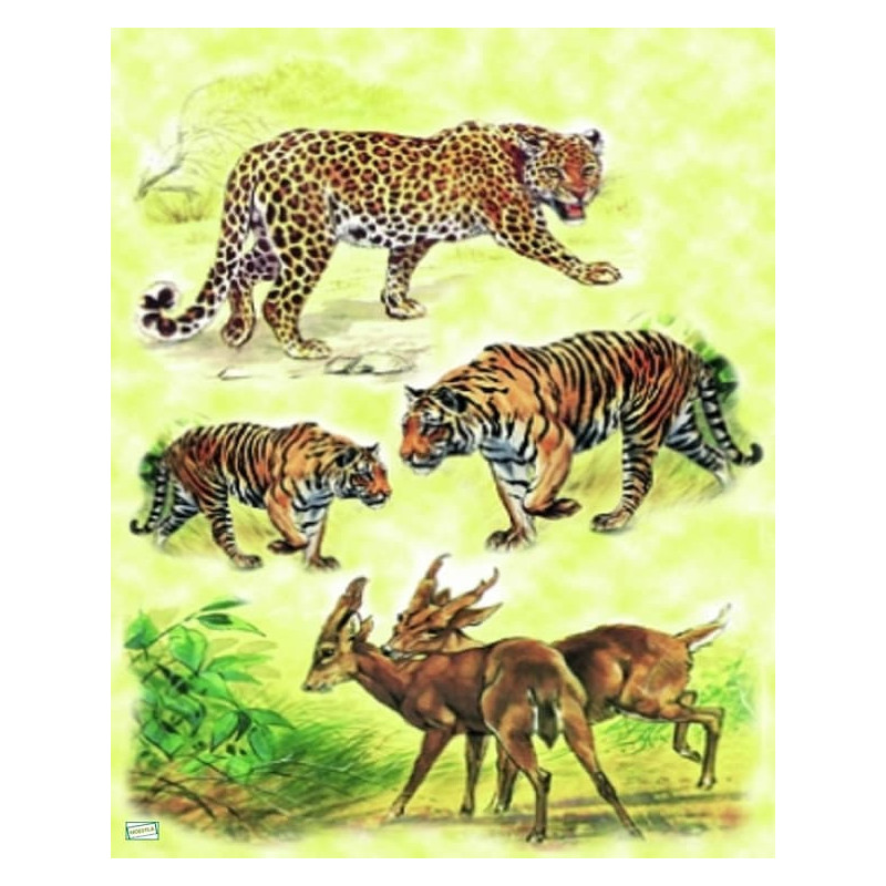 1 papier riz Animaux Afrique -ZAN39G