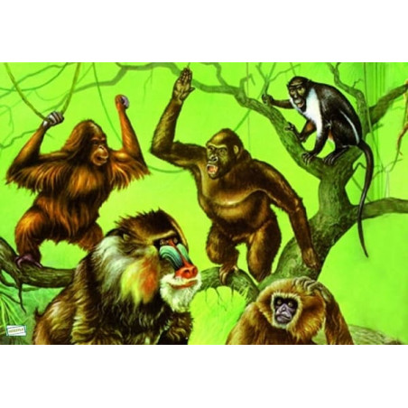 1 papier de riz Les singes -ZAN61G