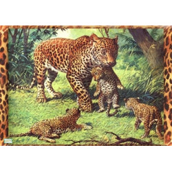 1 papier de riz Les Tigres -ZAN184G