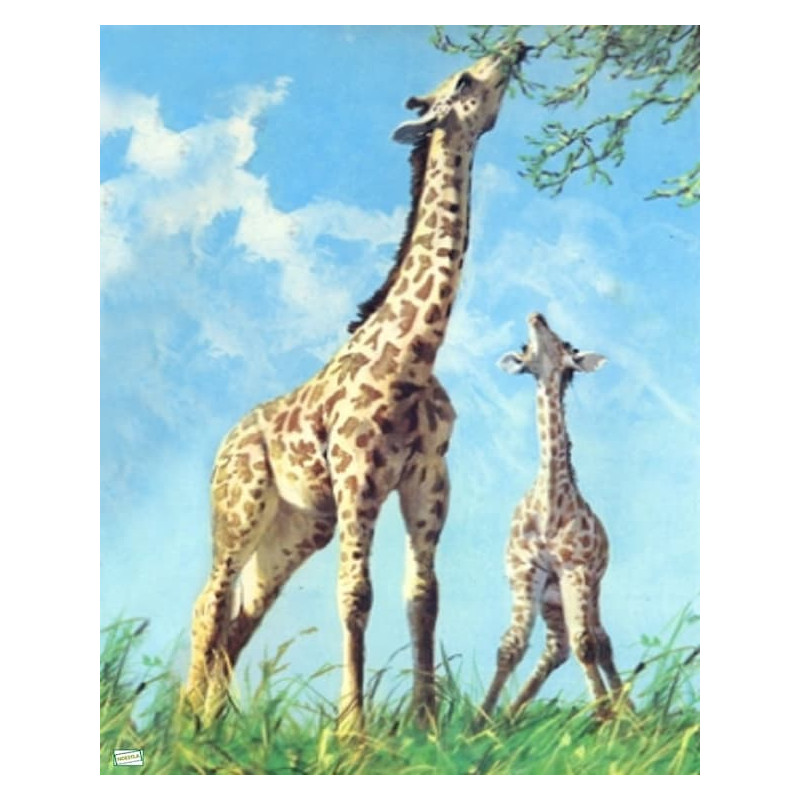 1 papier de riz Les girafes -ZAN192G