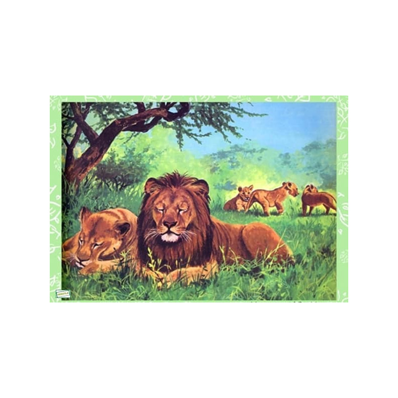 1 papier de riz Les lions -ZAN270G