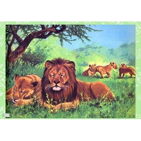 1 papier de riz Les lions -ZAN270G