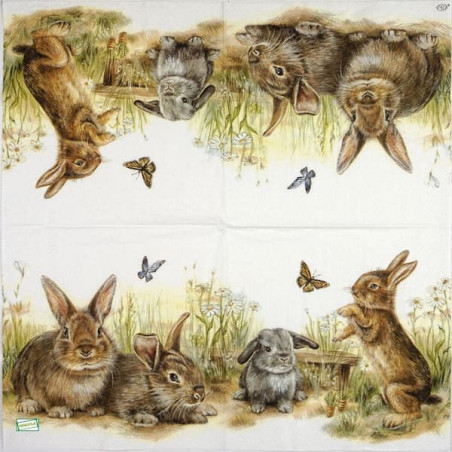 1 serviette Les Lapins -55