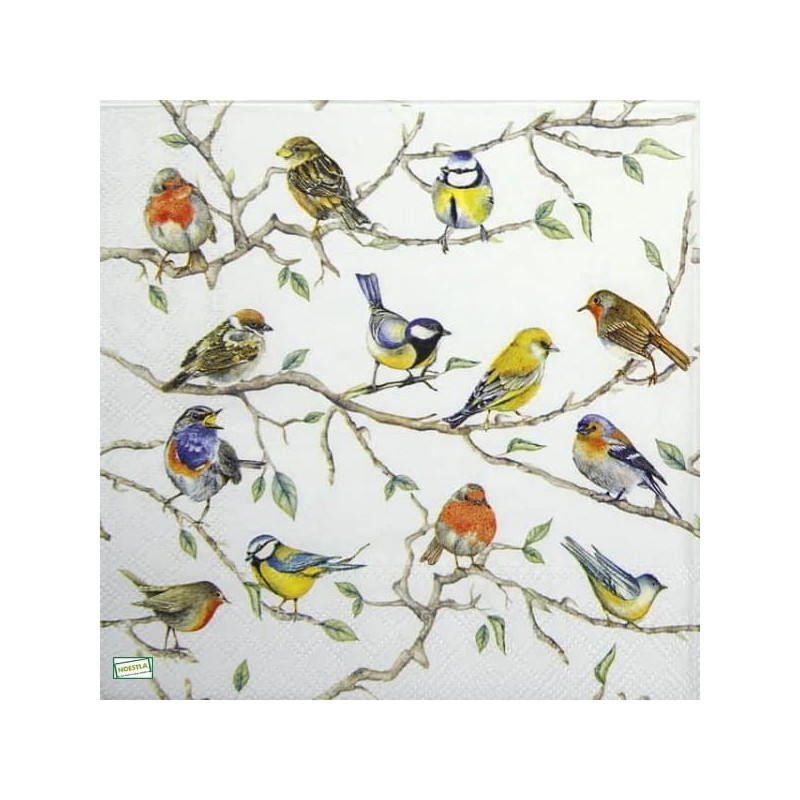 1serviette papier Oiseaux-200