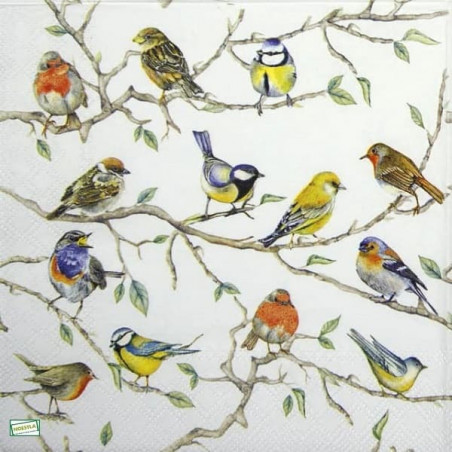 1serviette papier Oiseaux-200