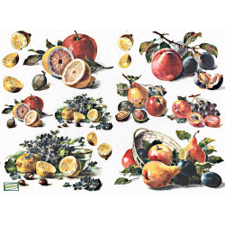 1papier découpage Fruits -D433M