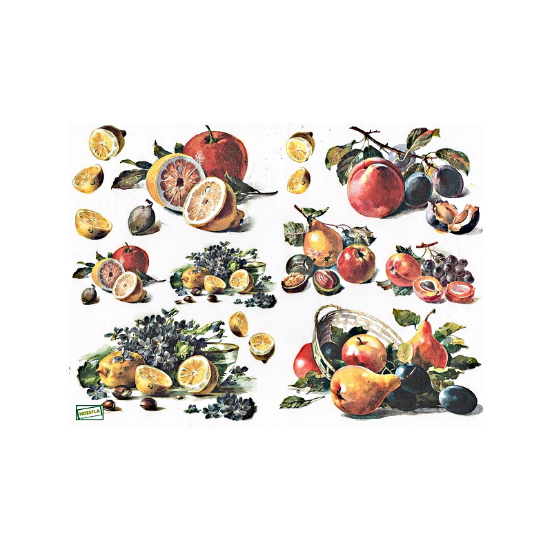 1papier découpage Fruits -D433M