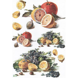 1papier découpage Fruits-T1M