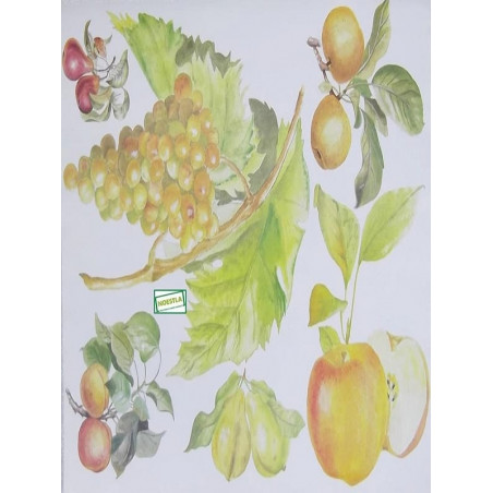 1papier découpage Fruits-X5