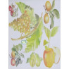 1papier découpage Fruits-X5