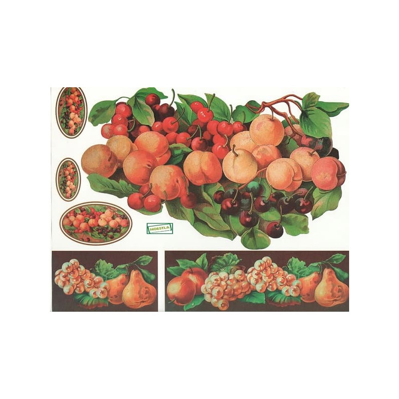 1papier découpage Fruits-X11