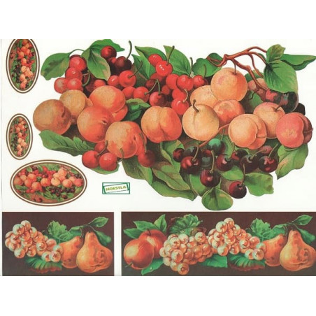 1papier découpage Fruits-X11