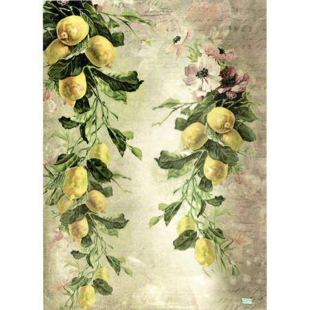 1 papier riz Les Citrons-R1193