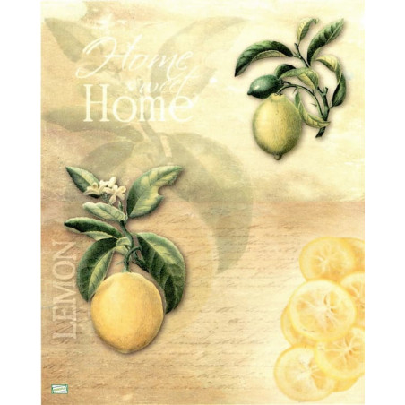 1 papier riz Les Citrons-R1251