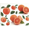 1 papier riz Les Oranges -X1