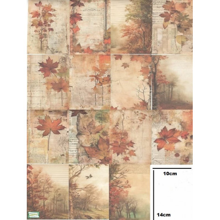 15 papiers décor Automne-AL33