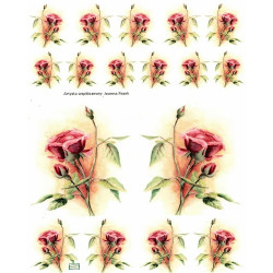 1papier riz Les Roses-R140