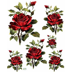 1papier riz Les Roses-R170