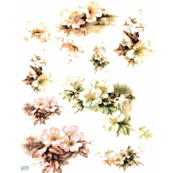 1 papier de riz Fleurs-R243