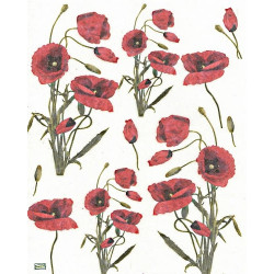 1papier riz Coquelicots-R416