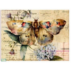 1Papier riz Le Papillon-KOD16065