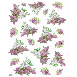 1papier de riz Le Lilas-STA21