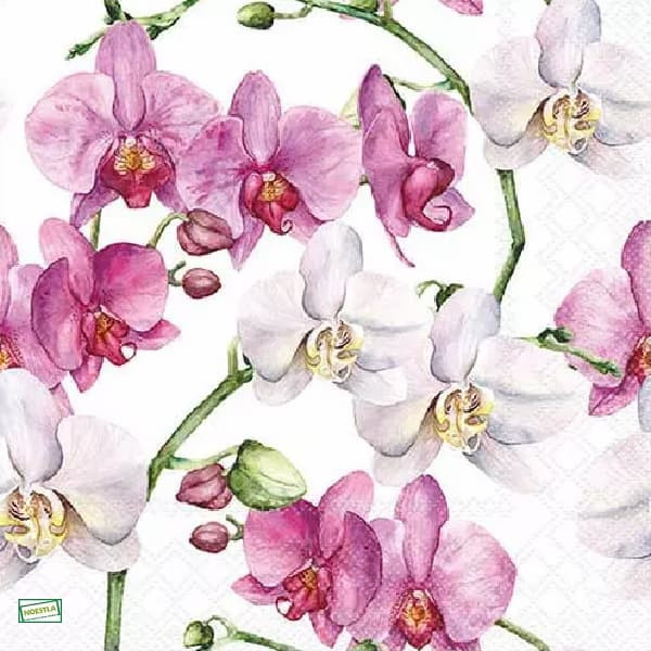 1serviette papier Orchidés-17