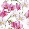 1serviette papier Orchidés-17