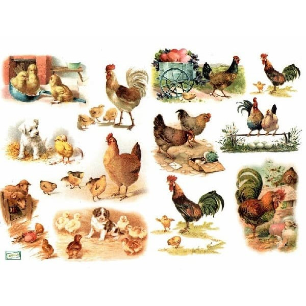 1papier découpage Poules-D465