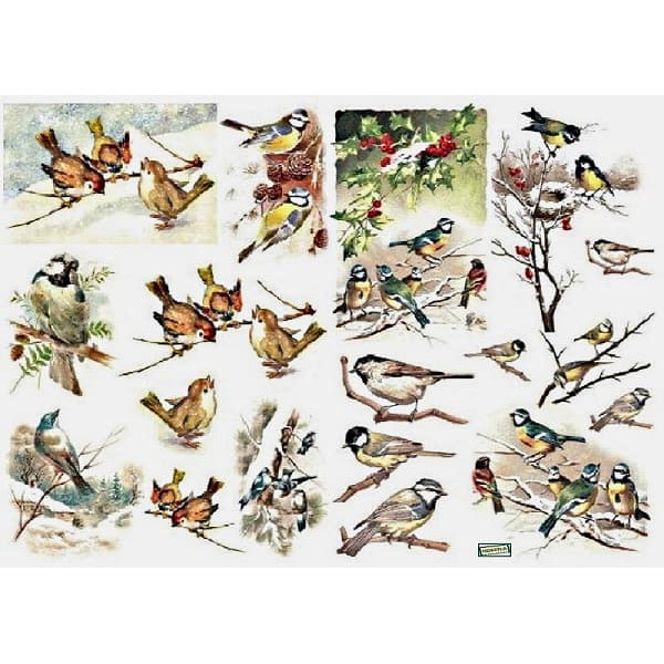 1papier découpage Oiseaux-D496