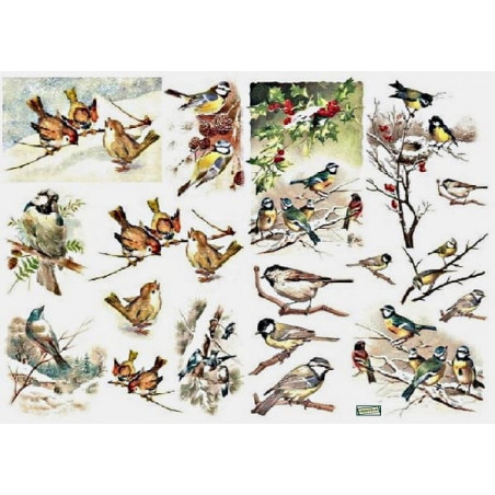 1papier découpage Oiseaux-D496