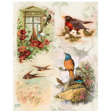 papier découpage Oiseaux-VPET2