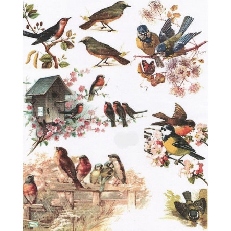 papier découpage Oiseaux-X11