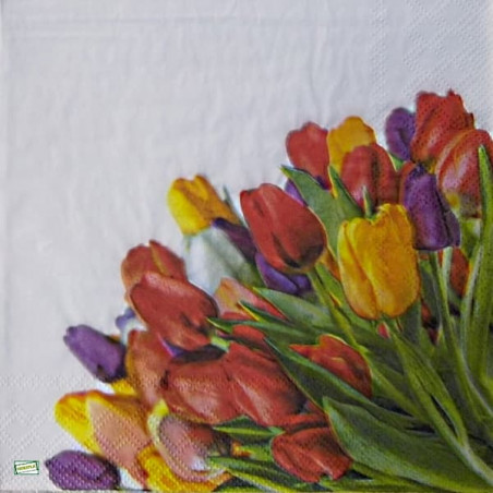 20 serviettes Tulipes -L71