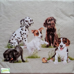 1serviette papier Chiens-11