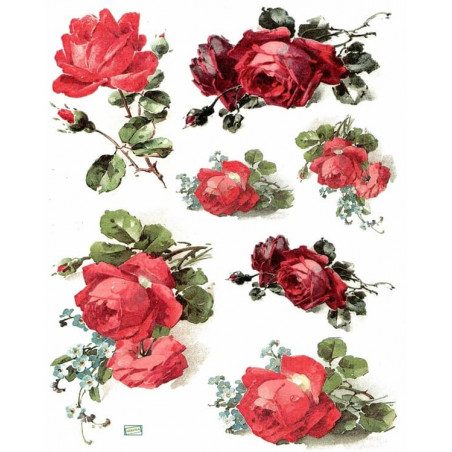 1papier riz Les Roses-R646