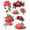 1papier riz Les Roses-R646