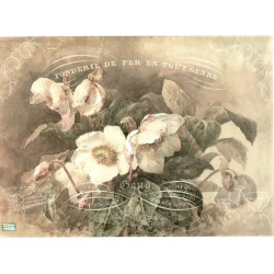 1papier de riz Fleurs-R724