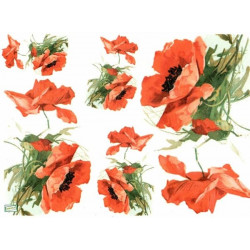 1papier riz Coquelicots-R954