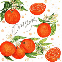 20 serviettes Les oranges -L53