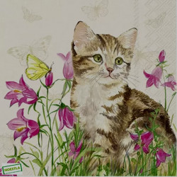 1serviette papier Chat-61