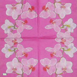 1serviette papier Orchidés-18