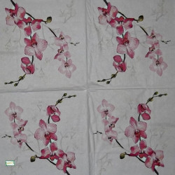 1serviette papier Orchidés-7