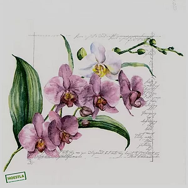 1serviette papier Orchidés-22