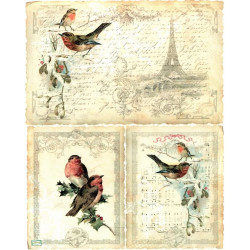 1papier de riz Oiseaux-R184